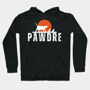 Pawdre - Funny best daddy mommy cat 2023 Hoodie